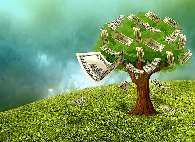 strom peněz